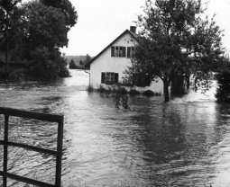Bild Hochwasser Finning 1960