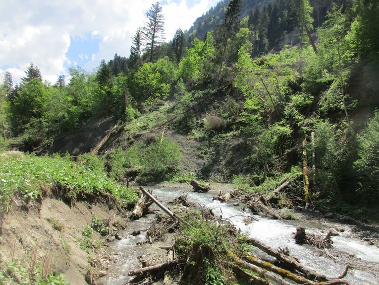 Große Hangrutschung nach dem Hochwasserereignis Große Hangrutschung nach dem Hochwasserereignis
