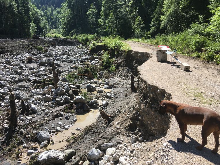 Zerstörter Weg entlang des Ferchenbaches Zerstörter Weg entlang des Ferchenbaches