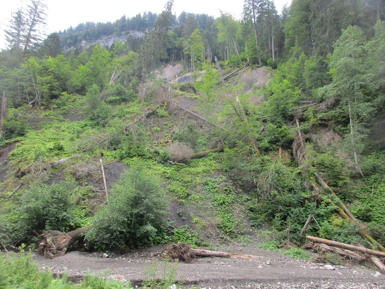 Hangrutschung zerstört den Weg entlang des Ferchenbachs Hangrutschung zerstört den Weg entlang des Ferchenbachs