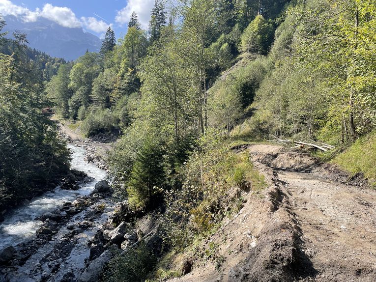 Beschädigter Weg entlang des Ferchenbachs Beschädigter Weg entlang des Ferchenbachs
