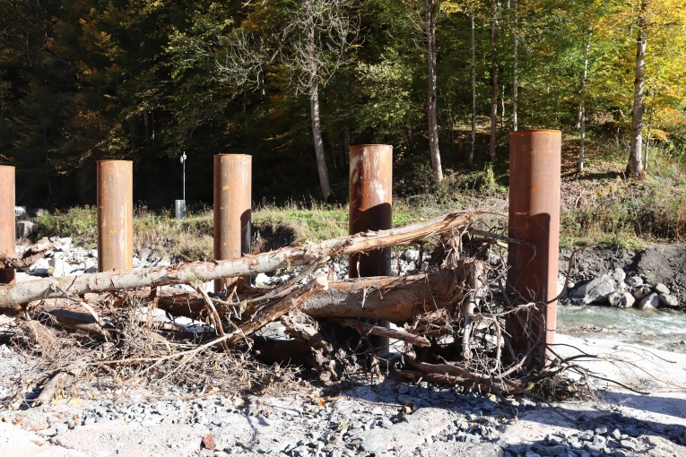 Die Stelen halten das angeschwemmte Wildholz zurück und verhindern dadurch Verklausungen im weiteren Gewässerverlauf