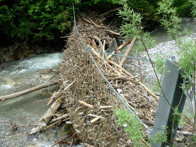 Nach dem Hochwasser 1999 wurde schon ein Wildholznetz an der Kanker errichtet