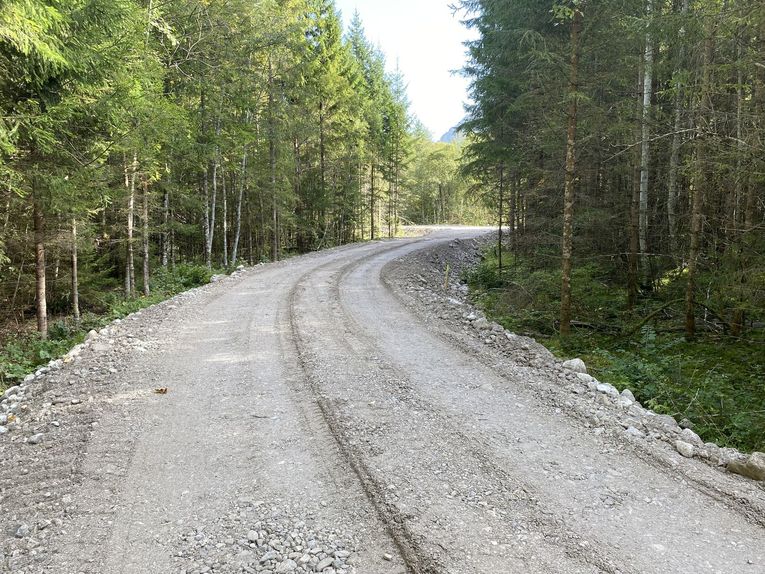 Linder - Deicherhöhung im Wald