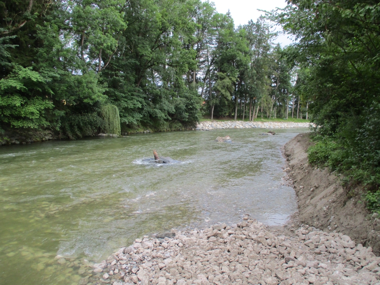 Bild von Strukturelementen im oberstrom der neuen Sohlengleite