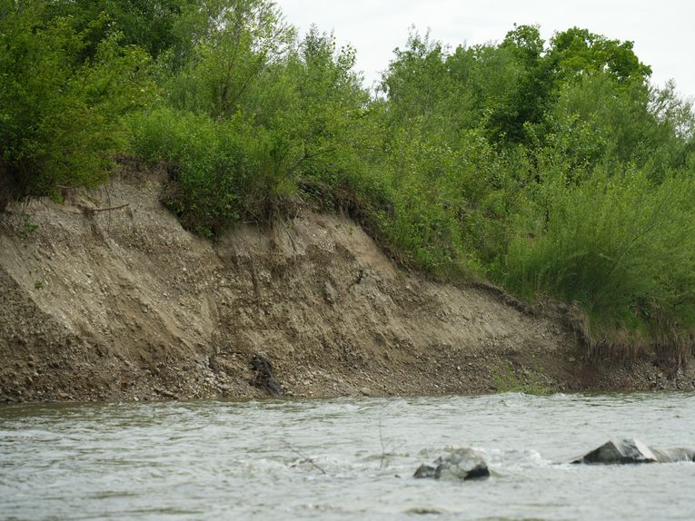 Bild von den neuen Strukturen und Uferanbrüche oberhalb des ehemaligen Oderdinger Wehres