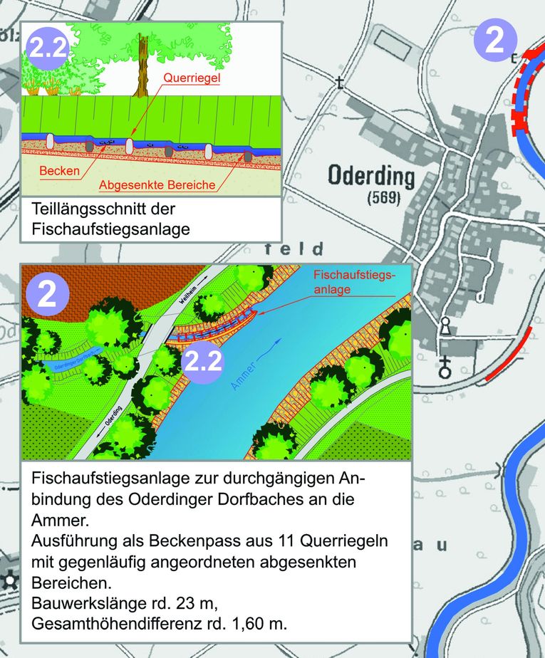 Bild Fischaufstieg in den Oderdinger Dorfbach
