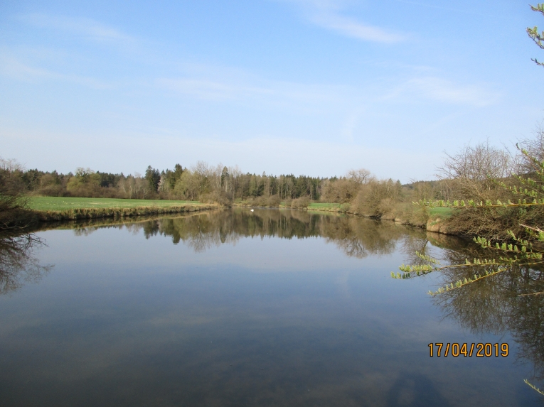 Altwasser Bierbichl bei Mittelwasser, April 2019