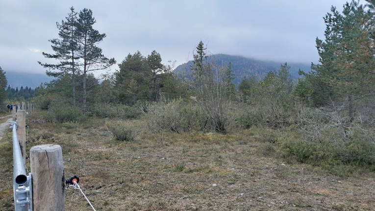 Eingezäunte Pflegefläche