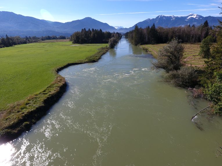 Erhöhter Wasserstand in der Loisach gestaltet die Uferbereiche weiter um Erhöhter Wasserstand in der Loisach gestaltet die Uferbereiche weiter um