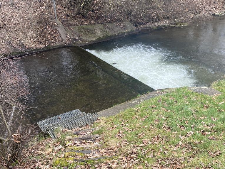 Absturz im Verlorenen Bach bei Fkm 87,3