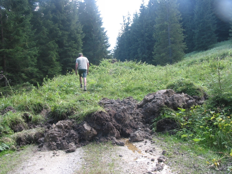 Ettal - Hangrutsch am Laber