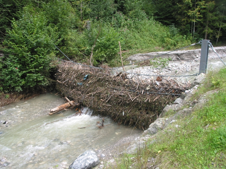 Garmisch-Partenkirchen - Wildholznetz am Kankerbach