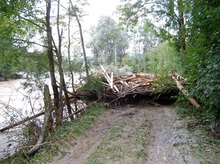 Polling - Roßlaichbrücke, Schwemmgut nach dem Hochwasser